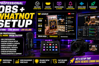 professionally set up obs and whatnot for live streaming, auctions