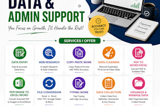 be your ecommerce virtual assistant for copy paste and excel sheets