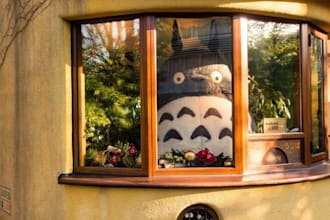book nintendo museum, ghibli museum and shibuya sky tickets