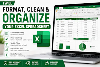 format, clean and organize your excel spreadsheet