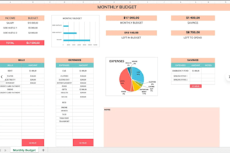be your professional financial analyst, and controller,excel