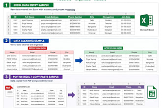 accurate data entry, copy paste and excel data entry
