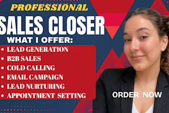 sales closer high ticket b2b leads as your sales rep sdr specialist salescloser