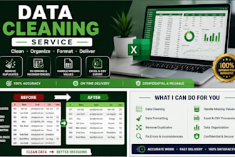 do data cleaning, formatting, and data preprocessing