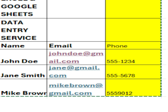 do excel data entry and google sheets cleanup