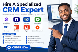 do streakcrm ninox nimble automation nocrmio  todoist agile zapier integration