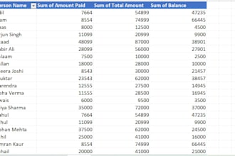provide professional chat support and accounting assistance