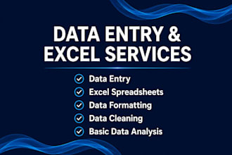 do accurate data entry and excel spreadsheet work