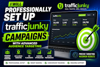 professionally set up trafficjunky campaigns with advanced audience targe