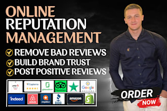 provide professional online reputation management, ORM, and SEO services
