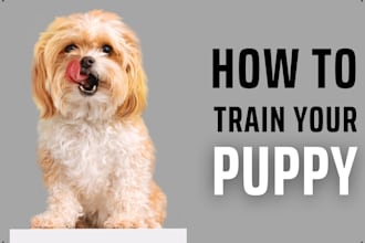 train your dog with positive reinforcement and obedience training