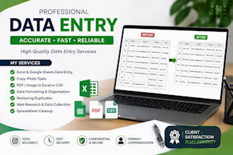 do accurate data entry and excel spreadsheet work