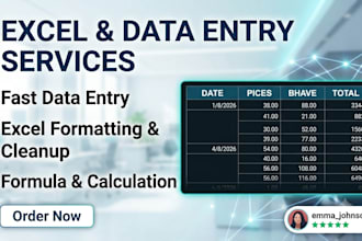 do professional data entry, excel data entry, and web research