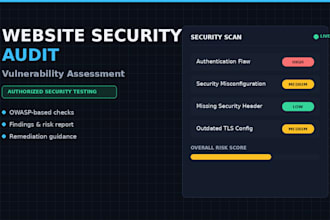 perform a professional web security audit and vulnerability assessment