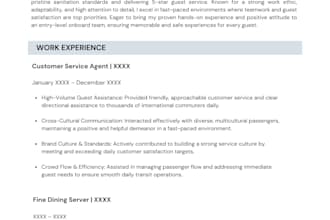 professionally format and redesign your resume or CV