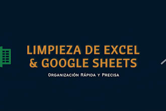 organizaré tus bases de datos y planillas de excel para precisión y orden