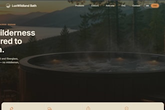 build a professional website,system and more