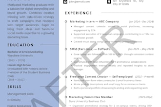 create a modern and professional CV or resume