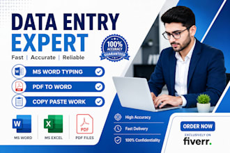 do fast ms word typing and pdf to word data entry