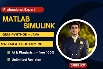 do matlab simulink and matlab programming , matlab task for you