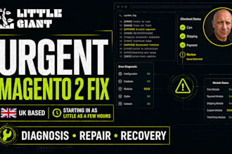 diagnose and fix urgent magento 2 website issues