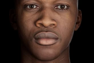 fix optimize and retopologize ai generated and scanned 3d models