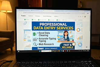 do accurate data entry, excel entry, excel data cleaning, and web search