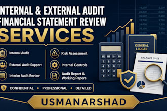 perform internal audit, external audit support, and financial review