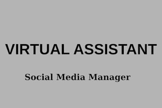 be your virtual assistant, social media manager and handle email communication