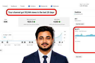 be your youtube seo expert for video and keyword research
