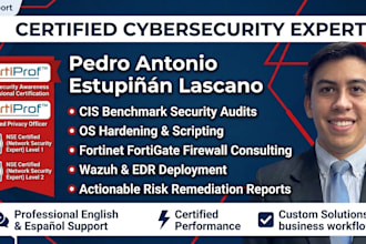 perform cis benchmark security audits, os hardening, and cybersecurity co