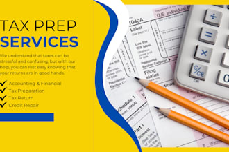 provide US tax filling USA tax return preparation service