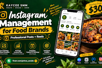 manage your instagram page and create professional food content