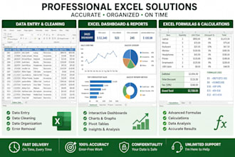 create professional excel spreadsheets formulas and reports