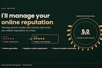 do online reputation management, ORM, positive reputation build