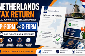 file netherlands p form or c form income tax return for expats and non residents