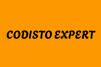 upload codisto products for you
