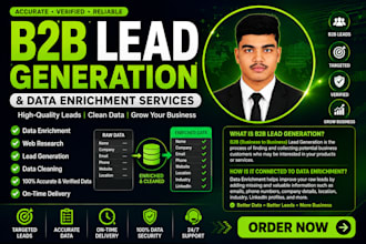 do manual data entry, b2b lead generation and data enrichment