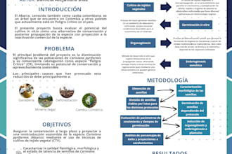 translate your english content into native spanish