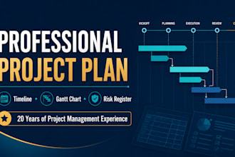 create your professional project plan