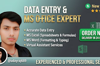 do accurate data entry, excel and ms word work