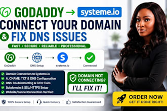 connect your godaddy domain to systeme io and fix dns