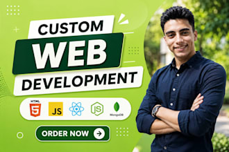 be web developer react, next js and node expert
