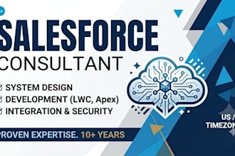 be your salesforce developer or consultant