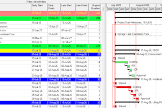 develop a professional project schedule on primavera p6