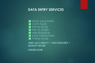 accurate data entry copy paste excel and web research