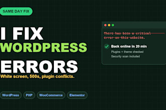 fix your wordpress website errors and bugs