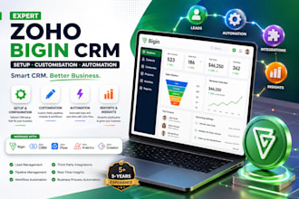 set up, customize and automate your zoho bigin CRM