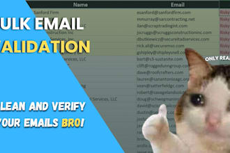 do bulk email validation and list cleaning fast