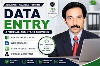excel data entry and copy paste work